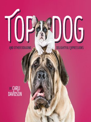 cover image of Top Dog